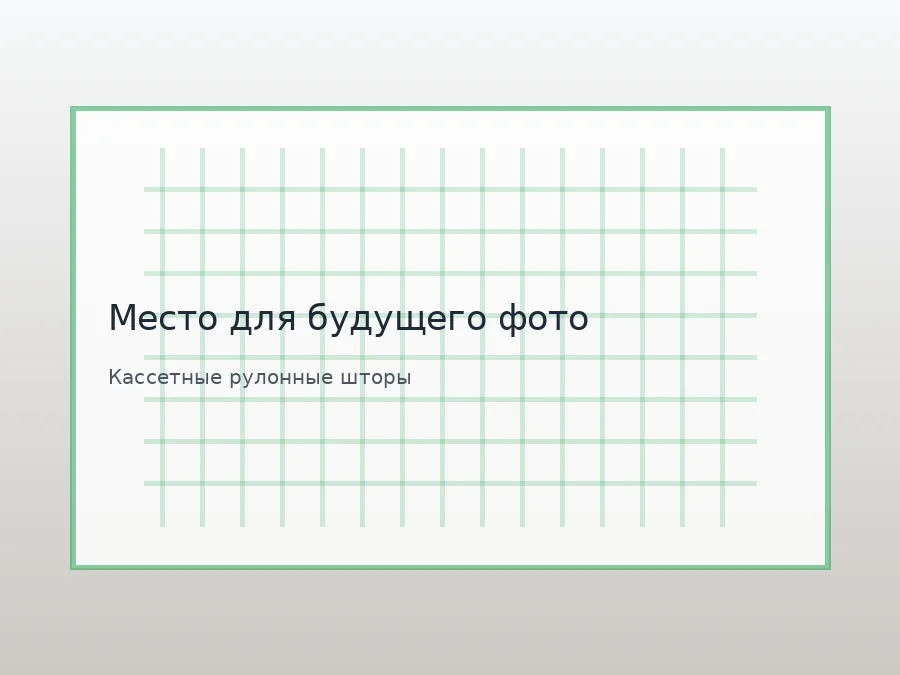 Заглушка для будущего фото: Кассетные рулонные шторы в Калуге